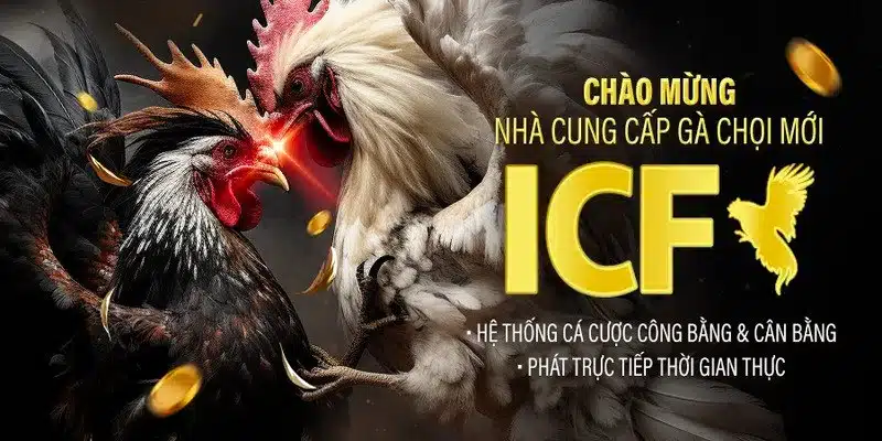 Áp dụng công nghệ hiện đại cho các trận đấu gà