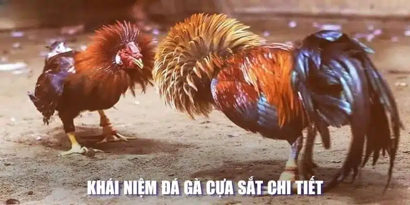 Khái quát về đá gà cựa sắt