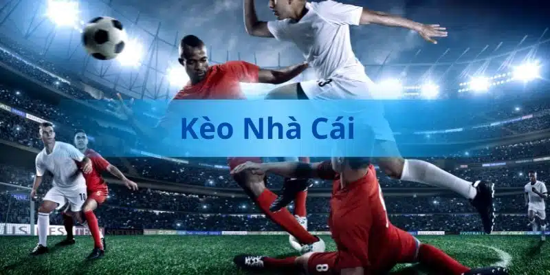 Tổng quan kèo nhà cái 8KBET